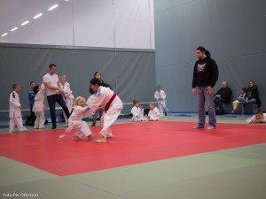 2013 03 05 - 089 Per Ottosson  